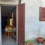 L'ulivo