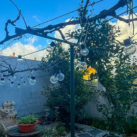 Appartamento L'ulivo *