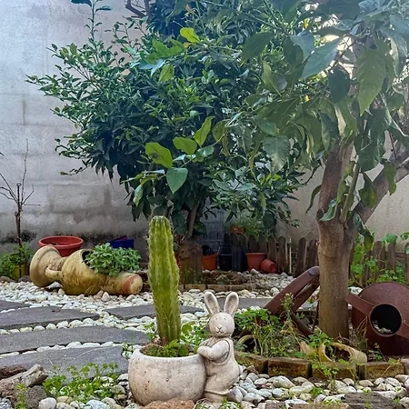 L'ulivo Appartamento Portoscuso